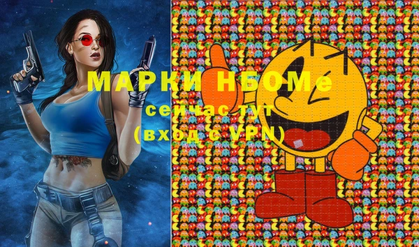 2c-b Ельня