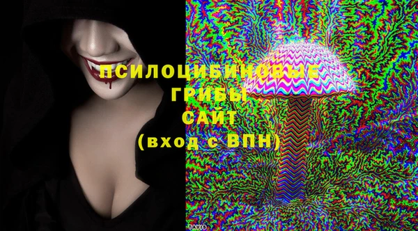 экстази Дмитров