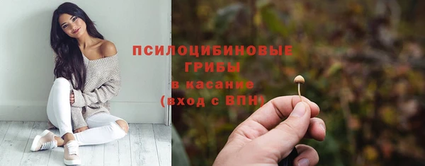 амф Дмитровск