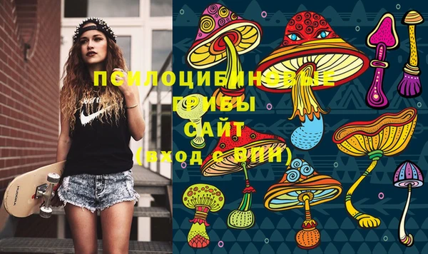 экстази Дмитров
