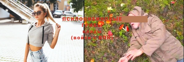 экстази Дмитров