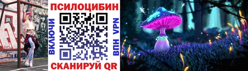 kraken зеркало Давлеканово Галлюциногенные грибы Magic Shrooms